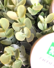 Load and play video in Gallery viewer, THE KAYVERSE TRIO SET
